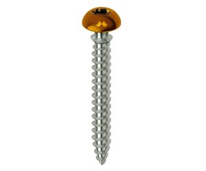 Vis cadre PVC Marron FRAMEX CLIP TX 25 6X70 bte de 100 Mustad