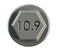 Vis de bielle IPSA COB00600