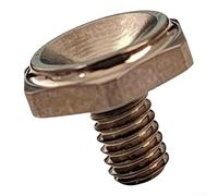 Vis de broche pour DAIWA, STEEZ, RYOGA, ZILLION Baitcasting et moulinets de tambour, y compris compatibilité avec 20 Alphas (gris)