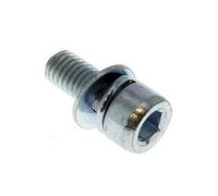 Vis de carter de protection 5131029121 pour Coupe bordures Ryobi
