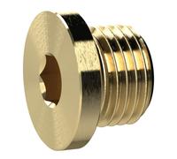 Vis de fermeture, six pans creux et taille G 1, SW 17, laiton, pression de travail max. 25 bars, tampon de fonctionnement. Charge maximale : 150°C