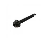 Shimano Flatmount Typ C Fixing Screw 35 Noir