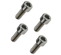 Avizar Vis de fixation pour guidon de Trottinette Dualtron Mini Argent