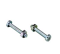 Vis de fixation M2,5 x 16 WAGO 769-499 100 pc(s)