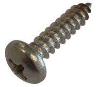 Hayward - Vis de Fixation pour clapet de Skimmer de Piscine COFIES - VTCLX1019