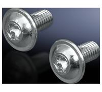 Vis de fixation Rittal 2504.800 acier 300 pc(s)