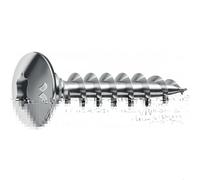 Vis de penture acier Panelvit® Chromiting® - tête bombée Torx - 6 x 40 - x200 MUSTAD