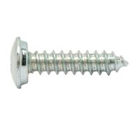 SWG 4009146163606 Vis pour plaques minéralogiques 4.8 mm 16 mm cruciforme acier galvanisé 100 pc(s)