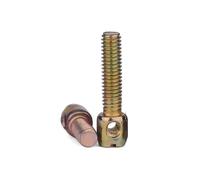 Vis De Plombage en Acier Au Carbone Et Zinc Plaqué Fer for Compteur Électrique, avec Trou, Boulon Transversal M3M4M5M6(Full Teeth,100PCS M5X16)