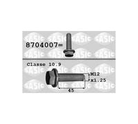 Vis de poulie SASIC 8704007