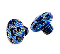 Vis de quincaillerie de poignée, 2 pack | Fixation décorative à tête ronde Timascus avec entraînement de sécurité pour les tâches de réparation d ' espacement