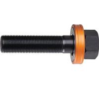 Vis de traction Alfra avec roulement à billes diamètre 19 x longueur 55mm pour art. 814100-111 - 1340