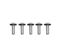 Vis en acier inoxydable Shell | Compatible avec BMW R1200GS Adv, R1250GS, R1200RT, S1000XR RR, S1000R, C600, C650GT, R1250, F750GS et F850GS(5xM5x16)