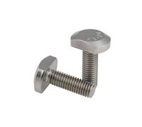 Vis en T, boulons en T M5 M6 M8 M10 M12, vis à tête carrée en acier inoxydable 304 for rainure en T (couleur: 55mm, taille: M12 (1pièce))(55mm,M5(2pcs))