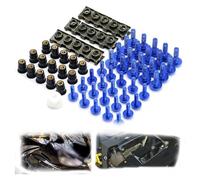 Vis Fixation Carenage Pour CBR 600 F4i F4 F3 F2 250 1100xx CBR250R CBR300R CBR500R Vis De Carrosserie Boulons Et Écrous Pare-brise Moto(Blue)