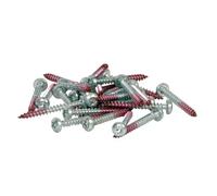 Vis Gallagher 4,5x40 T25 Blanc TU