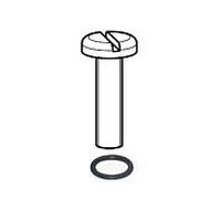 Vis Grünbeck avec joint torique 100610e