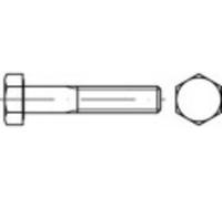 Vis hexagonale TOOLCRAFT 133410 BikeClean 25 pc(s) M22 80 mm tête hexagonale 6 pans extérieurs acier N/A