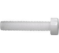 Vis hexagonale TOOLCRAFT 830262 10 pc(s) M5 30 mm tête hexagonale 6 pans extérieurs plastique, Polyamide N/A