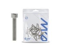 Vis jante moteur DUALTRON (non valide mini) 30 unités