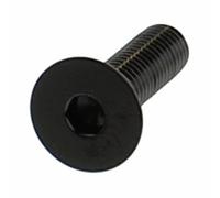 Vis JMP À Tête Hexagonale M8x1.25Mm 30Mm Acier Inox V4A Noir
