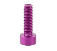 Vis M5 x 15 mm pour Porte-bidon de vélo, boulons de Fixation en Aluminium pour VTT et vélos de Route,4 pièces Violet,M5