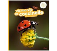 Vis ma vie de coccinelle