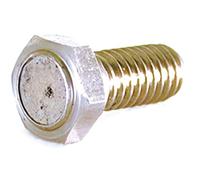 Vis magnétique pour disque de frein (M8 x P1,25 x 27,5L)