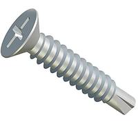 Vis Métalliques Autotaraudage Phillips Fraisé Tête Plate Auto-Perçage Des Vis s (Pack of 100) Zingué pour Tôles/Fenêtres de Toiture Fixation Auto-Taraudage DIN7504 P (3.9mm x 13mm)