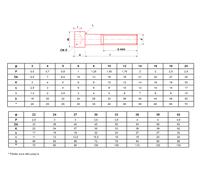 Vis métaux à tête cylindrique hexagonale creuse brut classe 12.9 DIN 912 6X55 BTE100 ULTIMA CHC6X55.129