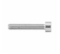 Lot de 12 vis / 6 pans en creux P2R Argenté