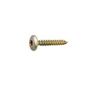 Vis MUSTAD Panelvit FC Tête de penture - Torx - Ø6x50mm - Chromitting - Boite de 200 - PV029A600500C8C