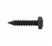 Vis Parker - Non spécifié - Tête ronde - 4,2 x 13 mm - Noir - Sachet de 10 pièces