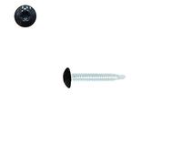 Vis penture autoperceuses 4,8x25 mm RAL 7016 gris anthracite zinguées par 50