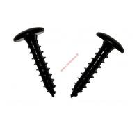 Vis penture étoile 6X30 AZI NOIR Tête Large Boite de 200