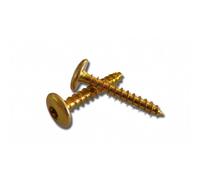 Vis penture étoile 6X50 Bichro Tête Large Boite de 200