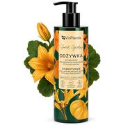 Vis Plantis Après-Shampoing Naturel - Huile de Pépins de Citrouille, Protéines de Son de Blé, Extrait d’Avoine et Beurre de Karité - Nourrit et Hydrate les Cheveux Secs et Abîmés - 400 ml
