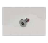 VIS,POULIE,M10X25 AF TSP pour lave linge FAURE