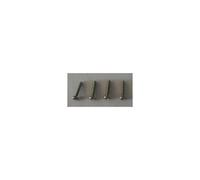 Vis pour collier Num'axes Canibeep Pro Gris TU