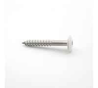 Vis pour panneaux de façade 4,8x38 mm RAL 9010 blanc pur Inox A2 par 200