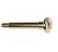 VIS pour PIECES ASPIRATEUR NETTOYEUR PETIT ELECTROMENAGER ELECTROLUX - 118382101