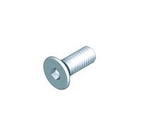 Vis pour poignée DIVA M6x16mm - LA CROISEE DS - DS6878