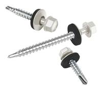 Vis pour tôles trapézoïdales PAROTEC, vis autoperceuses et autotaraudeuses avec rondelle d'étanchéité EPDM, tête hexagonale, 4,8 mm x 25 mm, RAL 9006 Argent métallique, 250 pièces