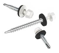 Vis pour tôles trapézoïdales PAROTEC, vis autoperceuses et autotaraudeuses avec rondelle d'étanchéité EPDM, tête hexagonale, 4,8 mm x 25 mm, RAL 9010 Blanc, 250 pièces