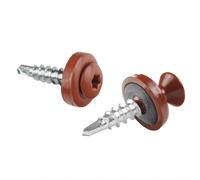 Vis pour tôles trapézoïdales PAROTEC, vis autoperceuses et autotaraudeuses avec rondelle d'étanchéité EPDM, tête bombée, TX20, 4,8mm x 20 mm, RAL 8004 Rouge brique, 250 pièces