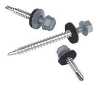 Vis pour tôles trapézoïdales PAROTEC, vis autoperceuses et autotaraudeuses avec rondelle d'étanchéité EPDM, tête hexagonale, 4,8 mm x 25 mm, RAL 7046 Gris clair, 250 pièces