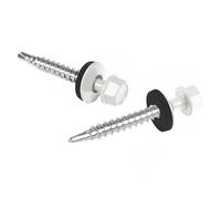 Vis pour tôles trapézoïdales PAROTEC, vis autoperceuses et autotaraudeuses avec rondelle d'étanchéité EPDM, tête hexagonale, 6,3 mm x 50 mm, RAL 9010 Blanc, 100 pièces