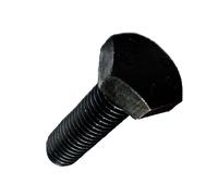 VIS T HEXAG BRUTE FT CL 10 9 - UNIVERSEL - 4560 20X 65