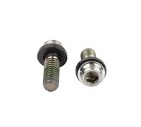Vis Titan SHIMANO Pour Étrier De Frein M6 X 14,6 Mm VE= 2 Pièces.