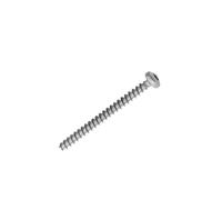 VIS TORX T10 TCB 3,5X40 SX ZNG 129931002 / 996530013185 - SAECO